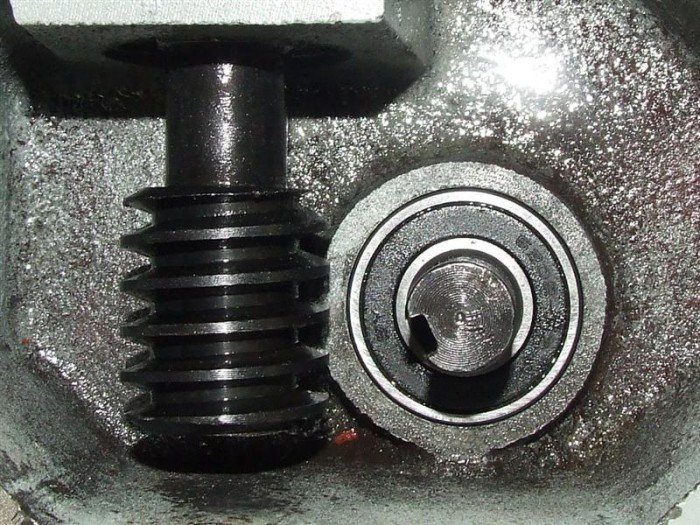 DSCF5928 (Medium).JPG