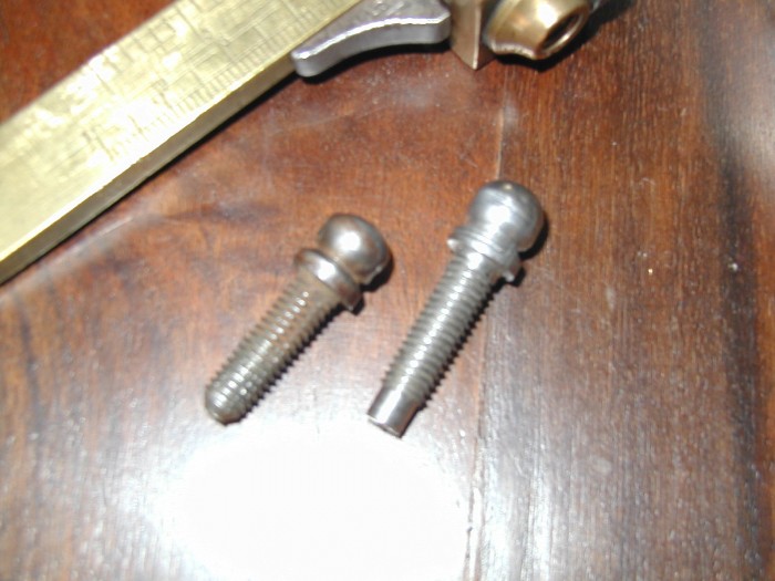 P1010004.JPG