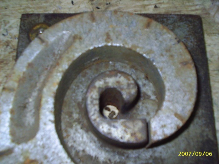Voluteuse ufalix 011.JPG